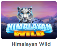 Himalayan Wild: Exciting Adventure on the Mountain Top with Tempting Jackpots!