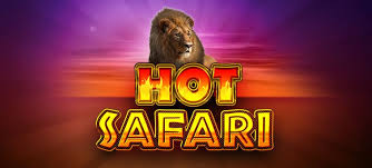 Hot Safari